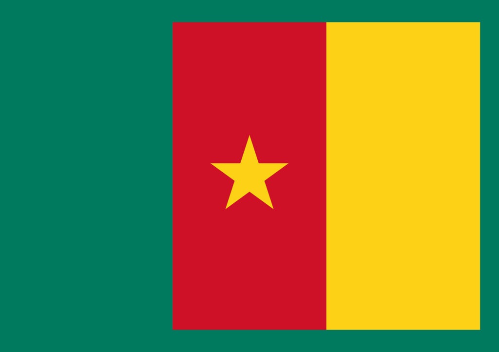 Article : BABIFOOT : Les Lions Indomptables du Cameroun