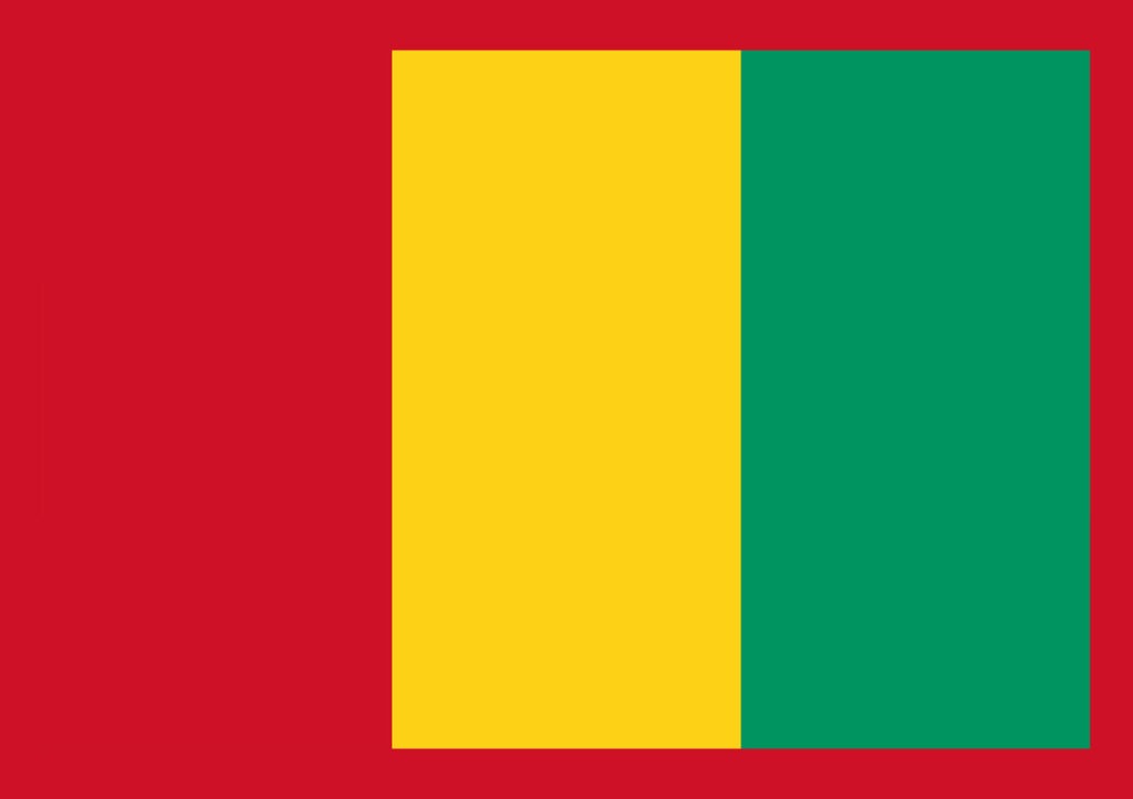 Article : BABIFOOT : le Syli National de la Guinée