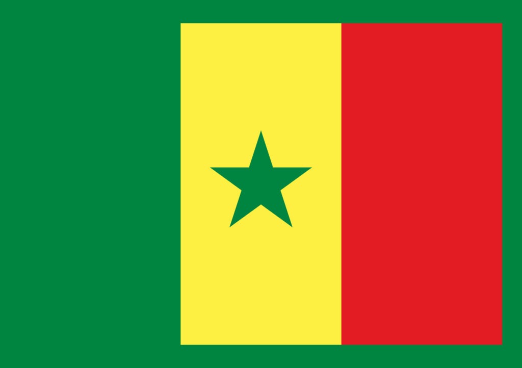 Article : BABIFOOT : les Lions du Sénégal