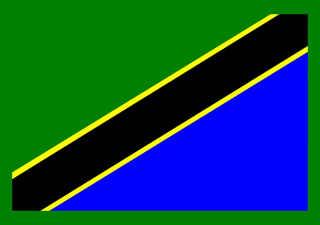 Article : BABIFOOT : les Taifas Stars de la Tanzanie