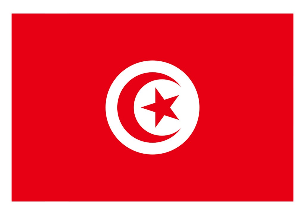 Article : BABIFOOT : les Aigles de Carthage