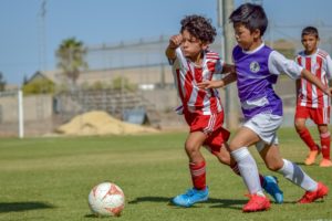 Article : La formation : l’avenir du football