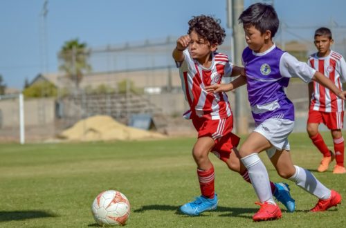 Article : La formation : l’avenir du football