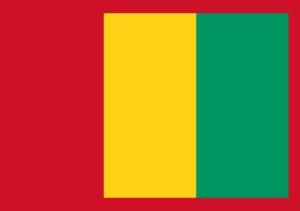 Article : BABIFOOT : le Syli National de la Guinée