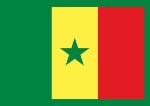 Article : BABIFOOT : les Lions du Sénégal