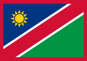 Article : BABIFOOT : les Brave Warriors de la Namibie