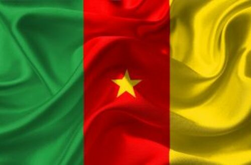 Article : Arbitrage : Le Cameroun contre le reste du monde…