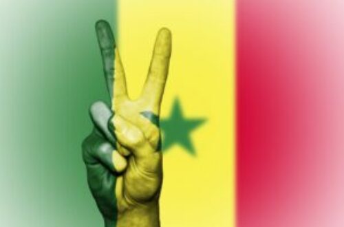 Article : CHAN 2023 : le Sénégal reste sur le toit de l’Afrique