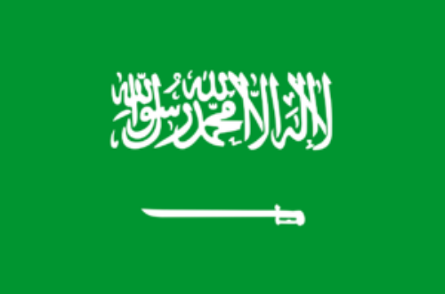 Article : Qatar City : Les Faucons Verts de l’Arabie Saoudite