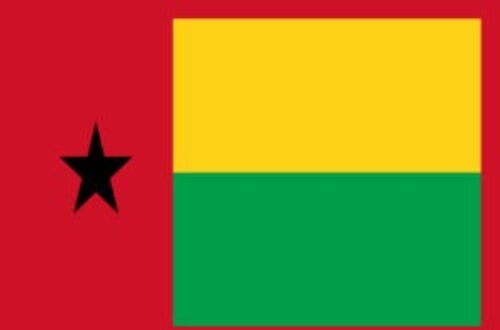 Article : BABIFOOT : les Djurtus de la Guinée Bissau